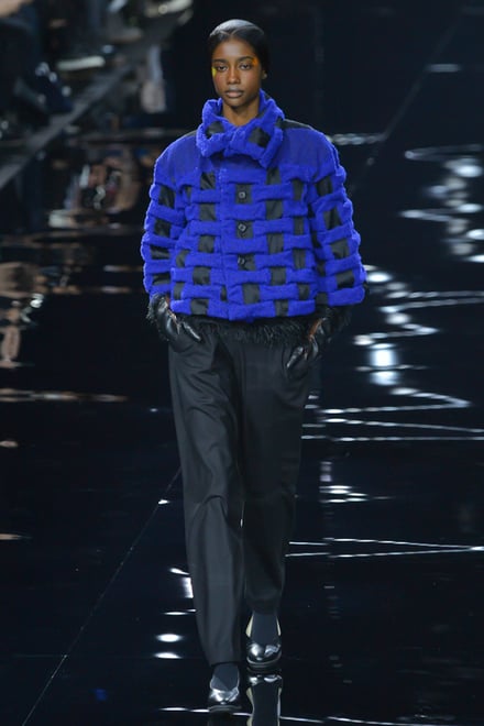 ISSEY MIYAKE 2015-16AW パリコレクション 画像22/70