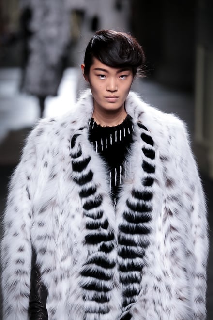 FENDI "Haute Fourrure" in TOKYO 2015-16AW Couture 東京コレクション 画像36/72