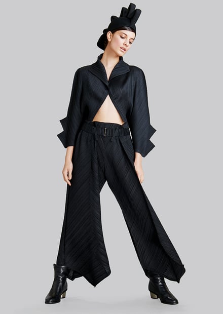 PLEATS PLEASE ISSEY MIYAKE 2015-16AWコレクション 画像38/40