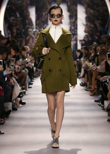 Dior 2016-17AW パリコレクション 画像17/55