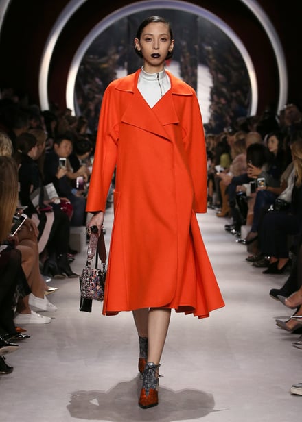 Dior 2016-17AW パリコレクション 画像54/55