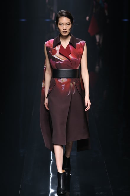 Hanae Mori manuscrit 2016-17AW 東京コレクション 画像62/86