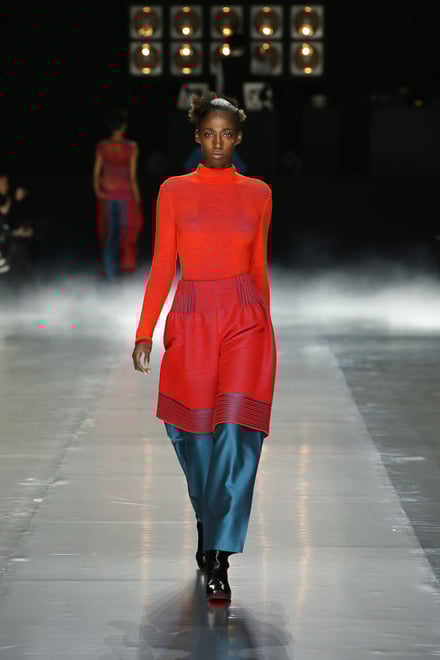 ISSEY MIYAKE 2016-17AW パリコレクション 画像7/42