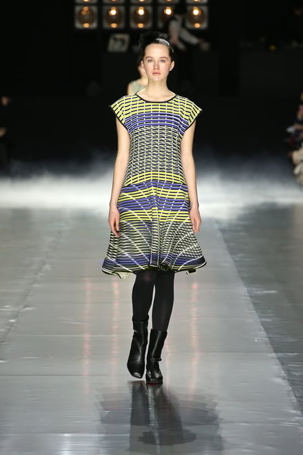 ISSEY MIYAKE 2016-17AW パリコレクション 画像11/42