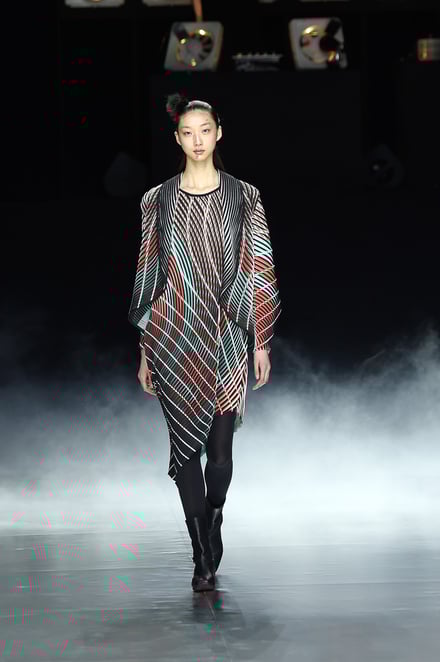 ISSEY MIYAKE 2016-17AW パリコレクション 画像14/42