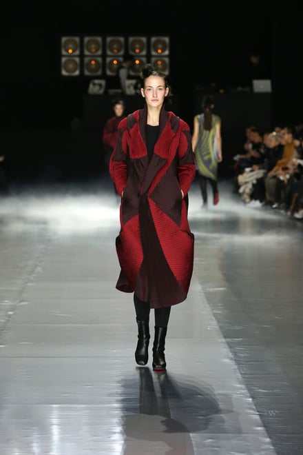 ISSEY MIYAKE 2016-17AW パリコレクション 画像15/42