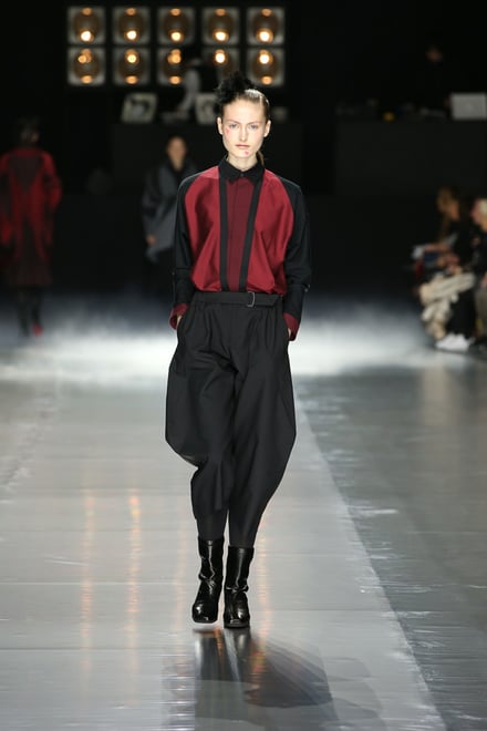 ISSEY MIYAKE 2016-17AW パリコレクション 画像17/42