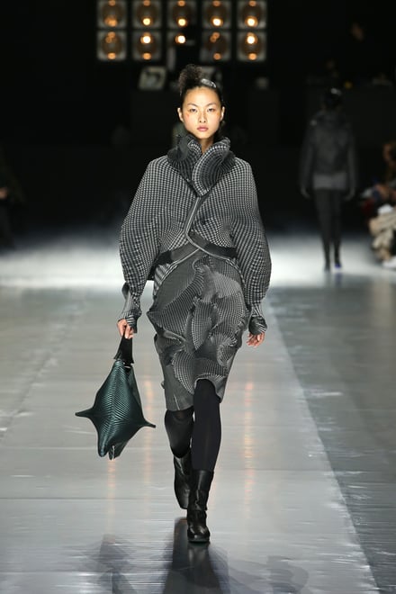 ISSEY MIYAKE 2016-17AW パリコレクション 画像23/42