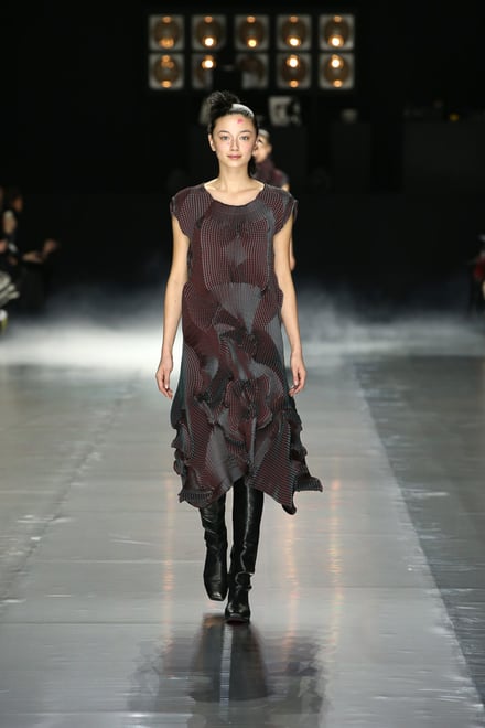 ISSEY MIYAKE 2016-17AW パリコレクション 画像27/42