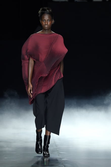 ISSEY MIYAKE 2016-17AW パリコレクション 画像30/42