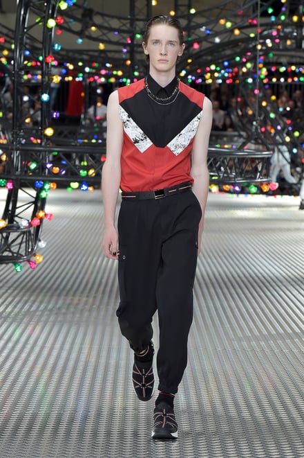 DIOR HOMME 2017SS パリコレクション 画像24/52
