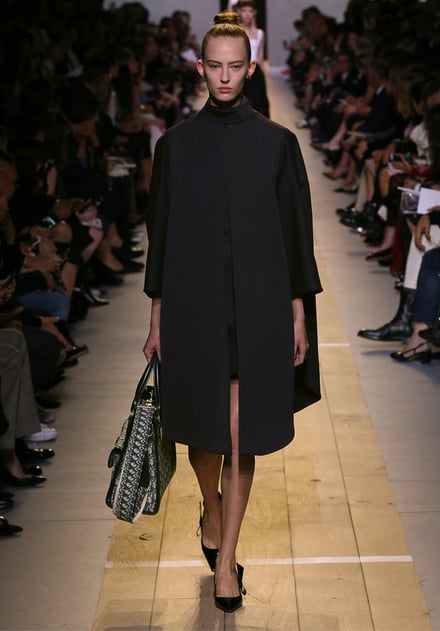 Dior 2017SS パリコレクション 画像19/65