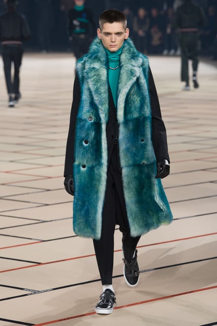 DIOR HOMME 2017-18AW パリコレクション 画像23/49