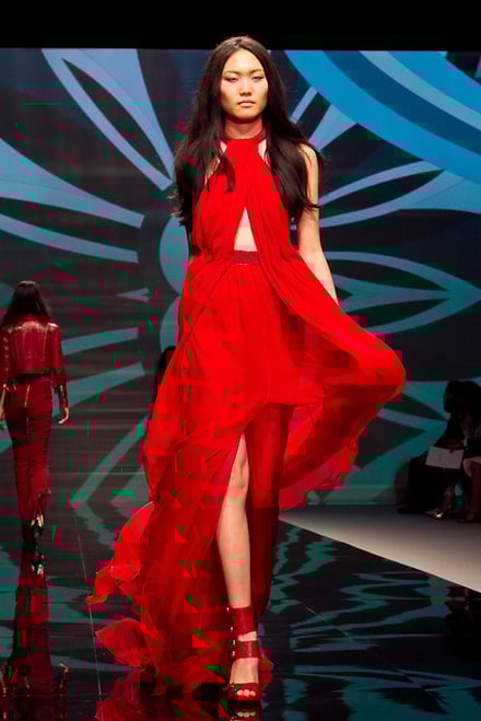 EMILIO PUCCI 2010-11AWコレクション 画像32/74