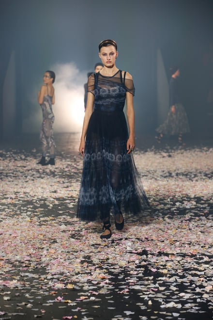 DIOR 2019SS パリコレクション 画像52/89
