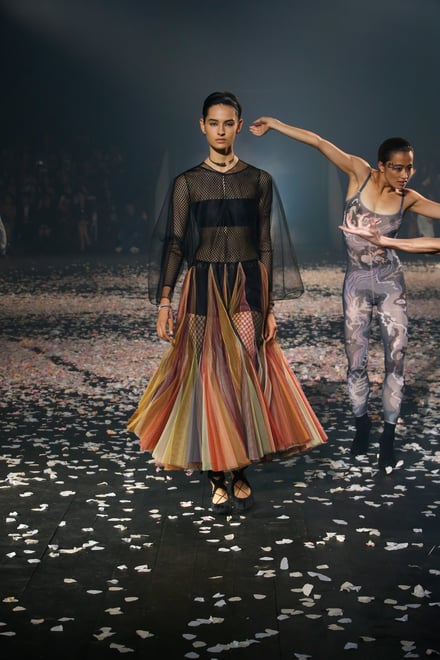DIOR 2019SS パリコレクション 画像73/89