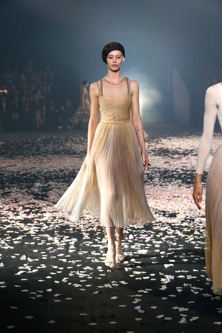 DIOR 2019SS パリコレクション 画像83/89