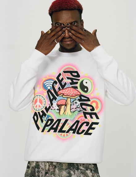 PALACE SKATEBOARDS 2022AWコレクション 画像11/34