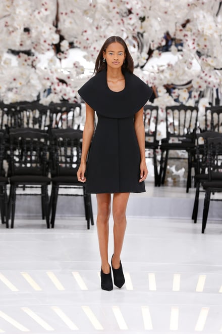 Dior 2014-15AW Couture パリコレクション 画像52/62