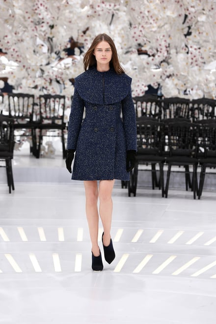 Dior 2014-15AW Couture パリコレクション 画像53/62