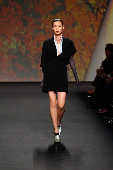 Christian Dior 2013-14AW Couture パリコレクション 画像21/53
