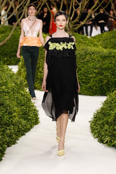 Christian Dior 2013SS Couture パリコレクション 画像21/47
