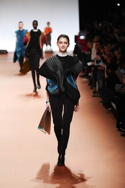 ISSEY MIYAKE 2014-15AW パリコレクション 画像2/42