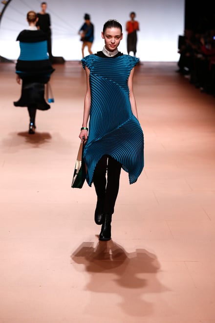 ISSEY MIYAKE 2014-15AW パリコレクション 画像6/42