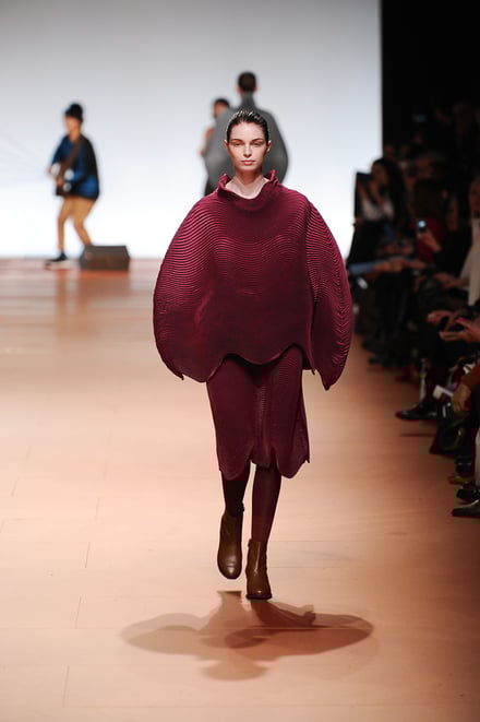 ISSEY MIYAKE 2014-15AW パリコレクション 画像28/42
