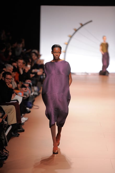 ISSEY MIYAKE 2014-15AW パリコレクション 画像31/42