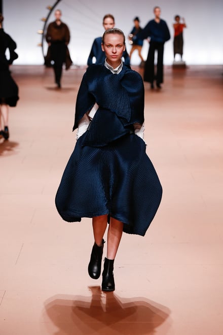 ISSEY MIYAKE 2014-15AW パリコレクション 画像37/42