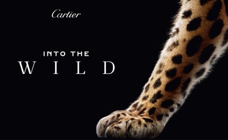 カルティエ（Cartier）が開催するポップアップのキーヴィジュアル