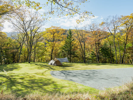キャンプ場