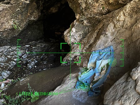 ヴィジュアル画像