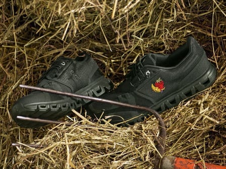 ヴィジュアル画像