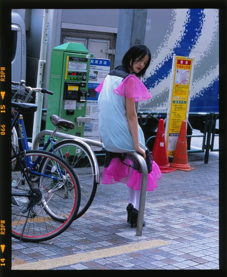 SHINTARO YAMAMOTO