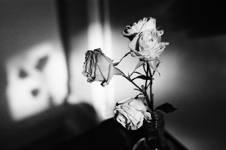 TANAKA