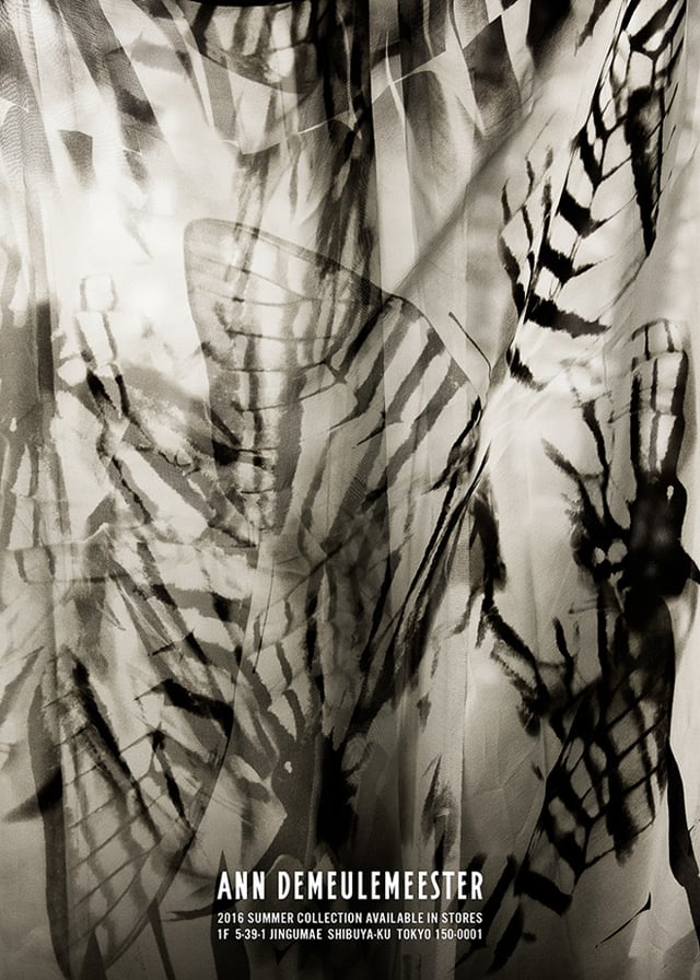 Image by ICON