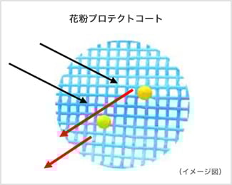 ヴィジュアル画像
