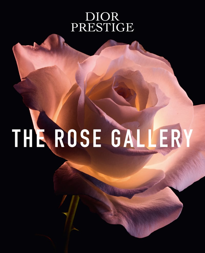 大きなバラを背景に真ん中にTHE ROSE GALLERYをタイピングされたメインビジュアル