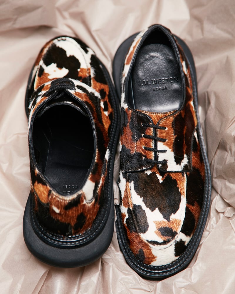 シューズの画像