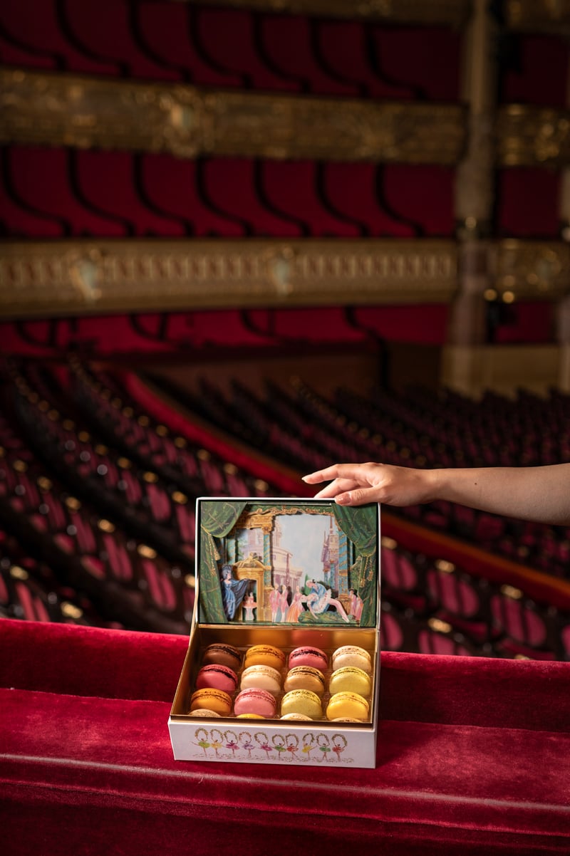 限定マカロンボックス「パリ・オペラ座 ─ 眠れる森の美女」 商品画像