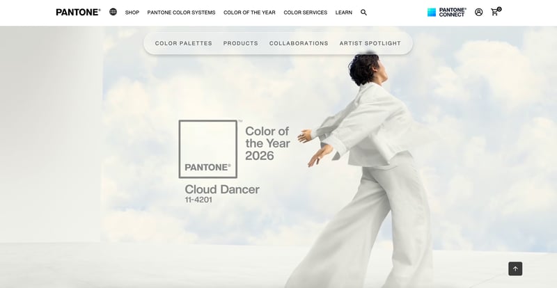 パントン公式サイトのスクリーンショット