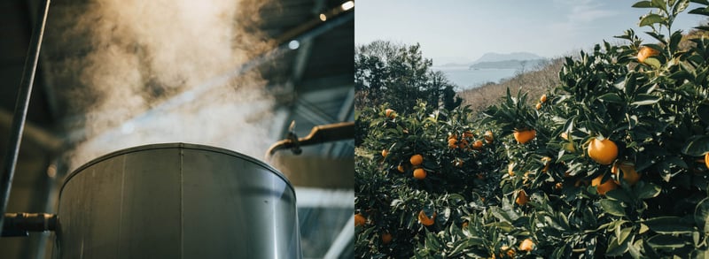 THREE 尾道蒸留所