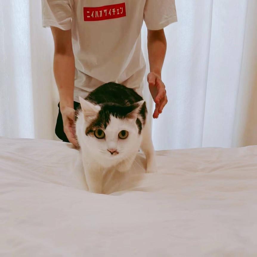 ベッドの上にいるキラ