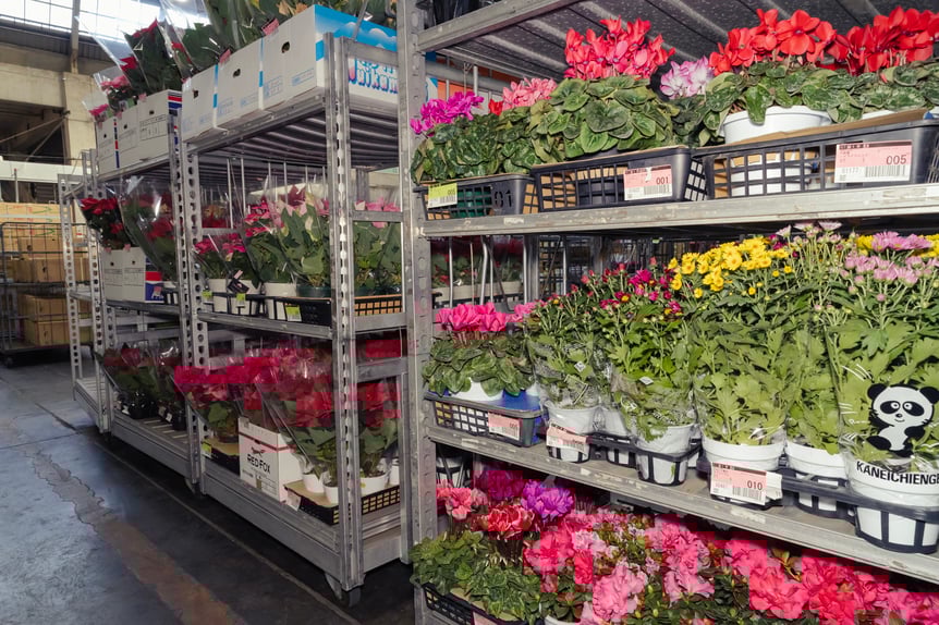 バンタンデザイン研究所の学生たちが挑む、服作りの舞台裏