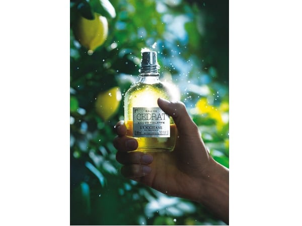 希少 ヴィヴィアン・ウエストウッド　シーバスリーガル　18年　ユニオン・ジャック ヴィヴィアンがデザインしたウィスキーボトル 18本限定発売