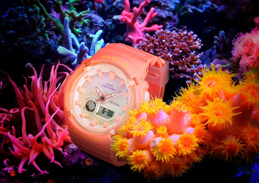 G-SHOCK」と「BABY-G」がイルカ・クジラモデルを発売