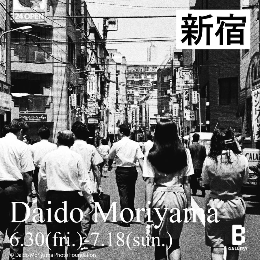 村越としや　大きな石とオオカミ　特装版 村越としや「大きな石とオオカミ」：artscapeレビュー｜美術館