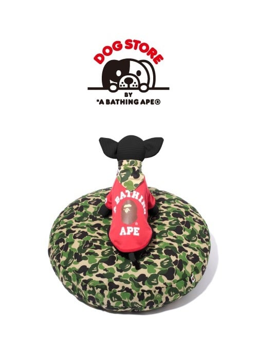BAPE?×伝統工芸 「だるまいろ展」 開催